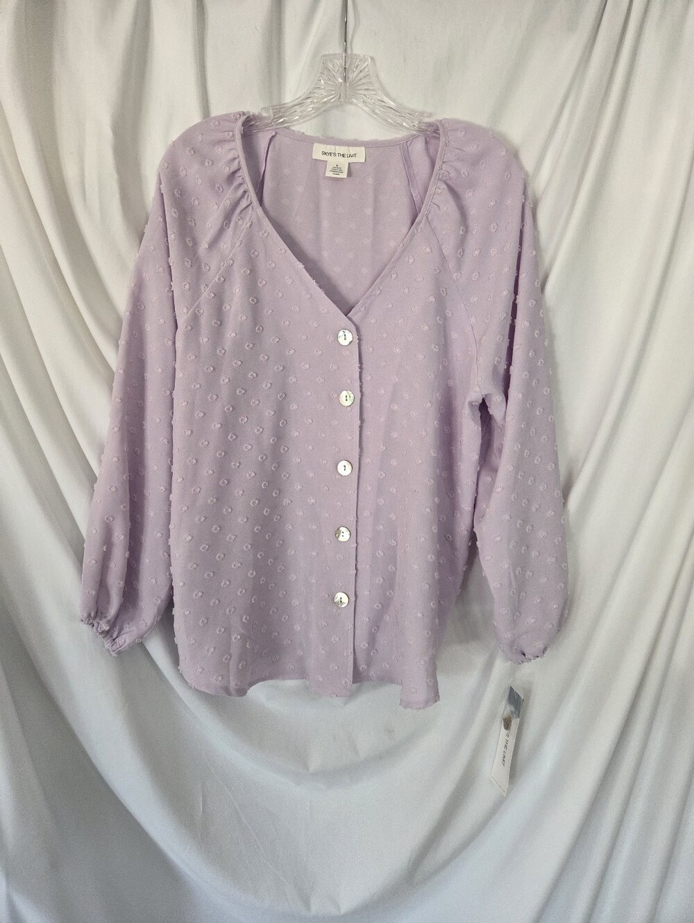 Skye's the Limit NWT Lavender Swiss Dot Button-Front Blouse Size L